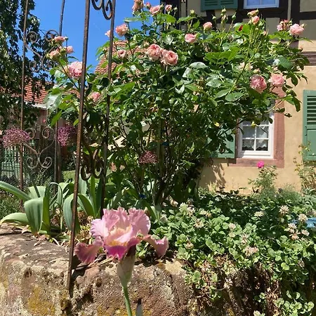 Au Fil Du Temps לינה וארוחת בוקר Imbsheim