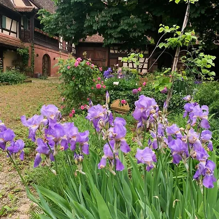 Au Fil Du Temps 4* Imbsheim